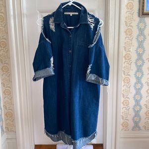 Rachel Roy Distressed Denim Dress